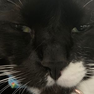 Meet your Posher, Zoe-jane